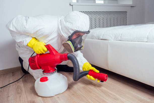 Real Estate Pest Inspections in West Elmira, NY